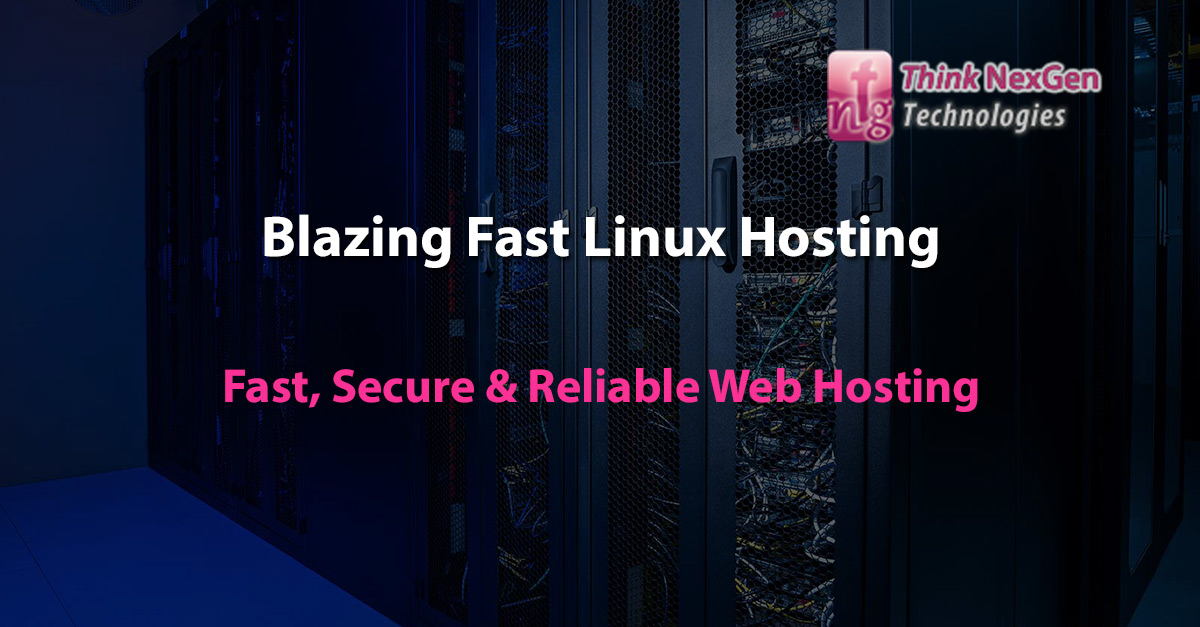 Linux shared web hosting services india